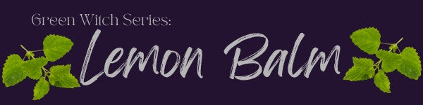 The Magickal Uses of Lemon Balm