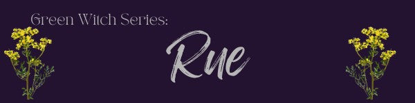 The Magickal Uses of Rue