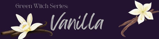 Magickal Properties & Uses Of Vanilla