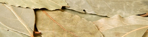 Kitchen Magic Using Bay Leaves- Folk Magic From Your Pantry