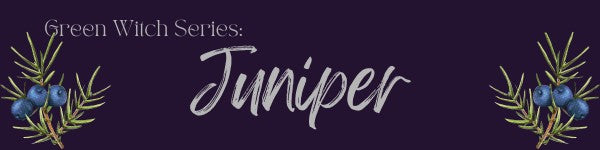Magickal Properties Of Juniper