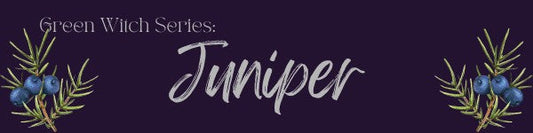 Magickal Properties Of Juniper
