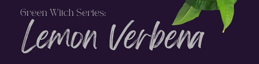 Discover The Secrets of Lemon Verbena: A Green Witch Series