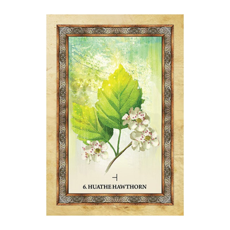 card from the celtic tree oracle