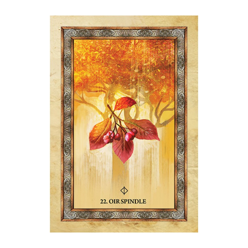 card from the celtic tree oracle