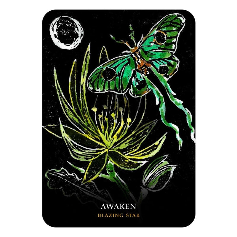 Flowers Of The Night Oracle
