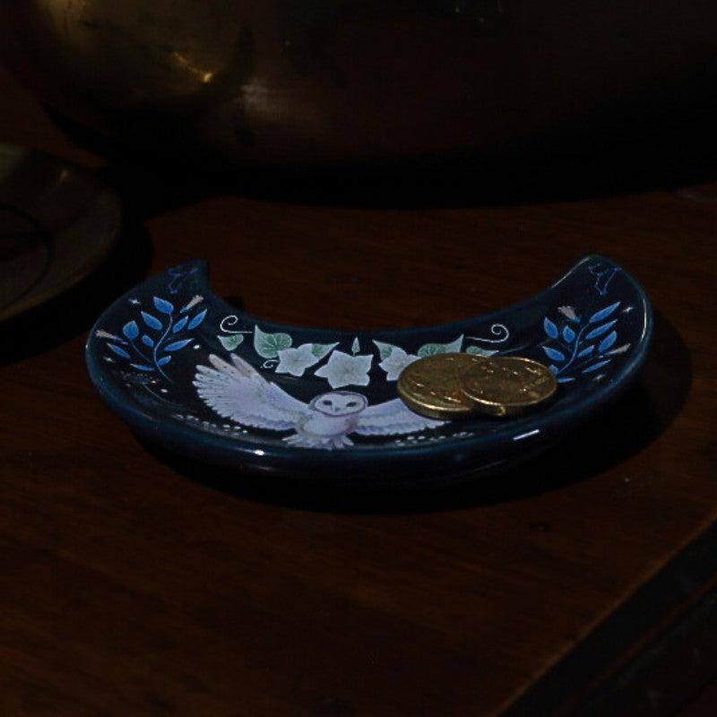 Decorative blue dish with an owl design and a gold coin on a dark surface