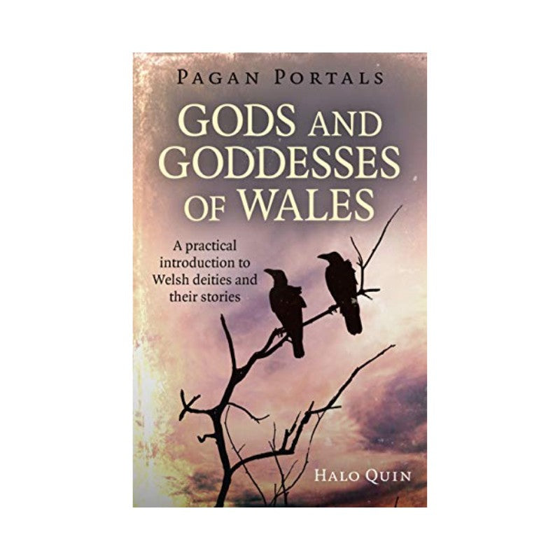 Book- Pagan Portals- Gods & Goddesses of Wales
