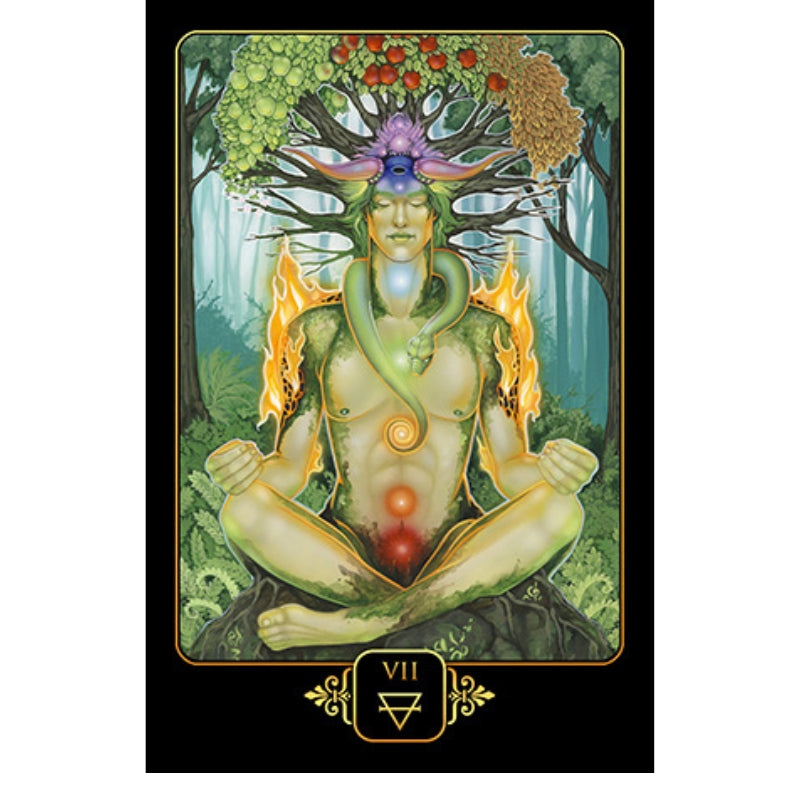 card from the DREAMS OF GAIA TAROT SET