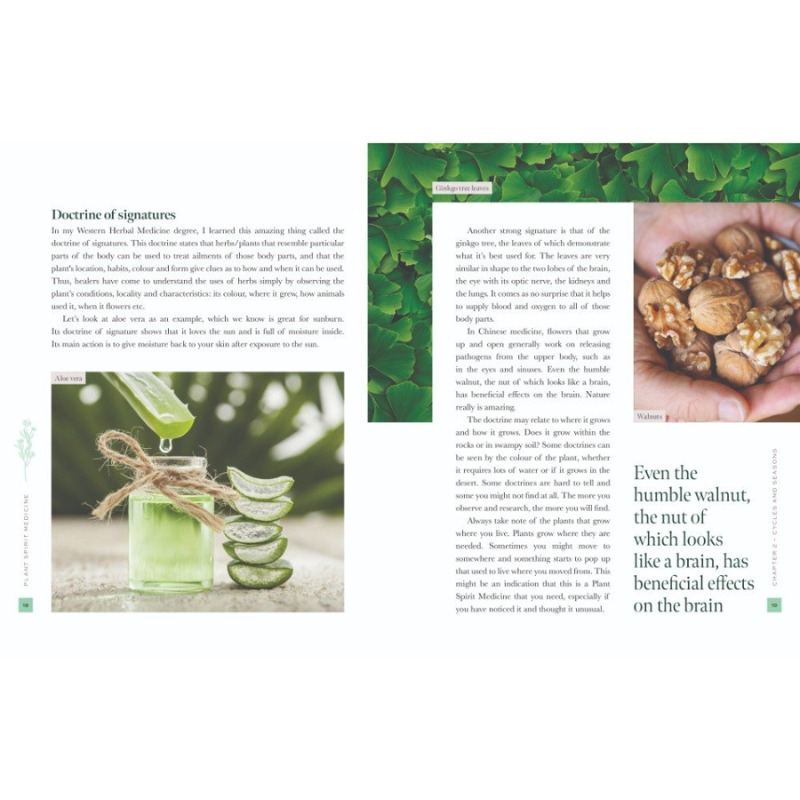 Plant Spirit Medicine- A Guide to Making Healing Products from Nature
