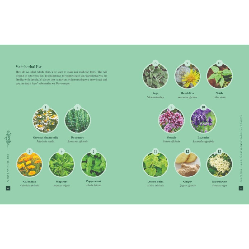Plant Spirit Medicine- A Guide to Making Healing Products from Nature