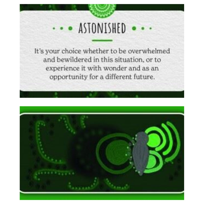 Shadow Healing- Aboriginal Guidance Cards