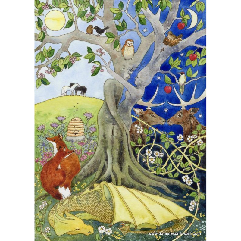 Witches' Wisdom Tarot 78 Card Deck & Guidebook (Deluxe Keepsake Edition)