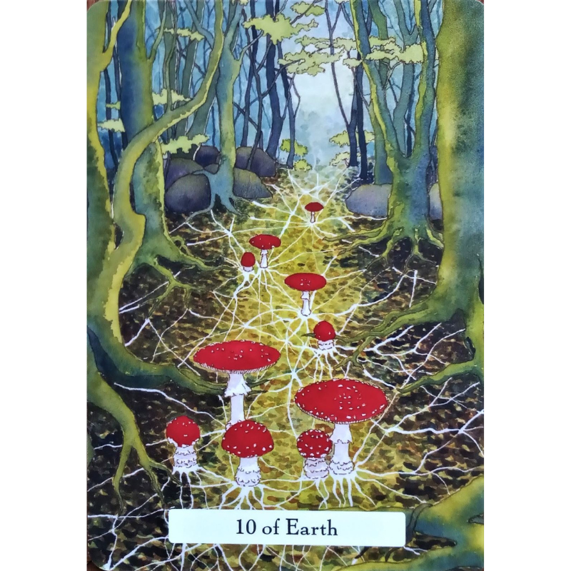 Witches' Wisdom Tarot 78 Card Deck & Guidebook (Deluxe Keepsake Edition)