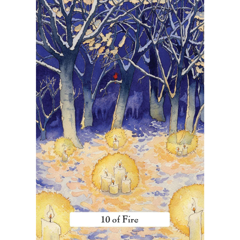 Witches' Wisdom Tarot 78 Card Deck & Guidebook (Deluxe Keepsake Edition)