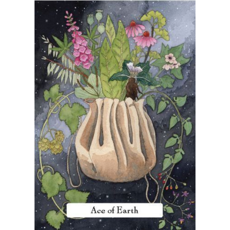 Witches' Wisdom Tarot 78 Card Deck & Guidebook (Deluxe Keepsake Edition)