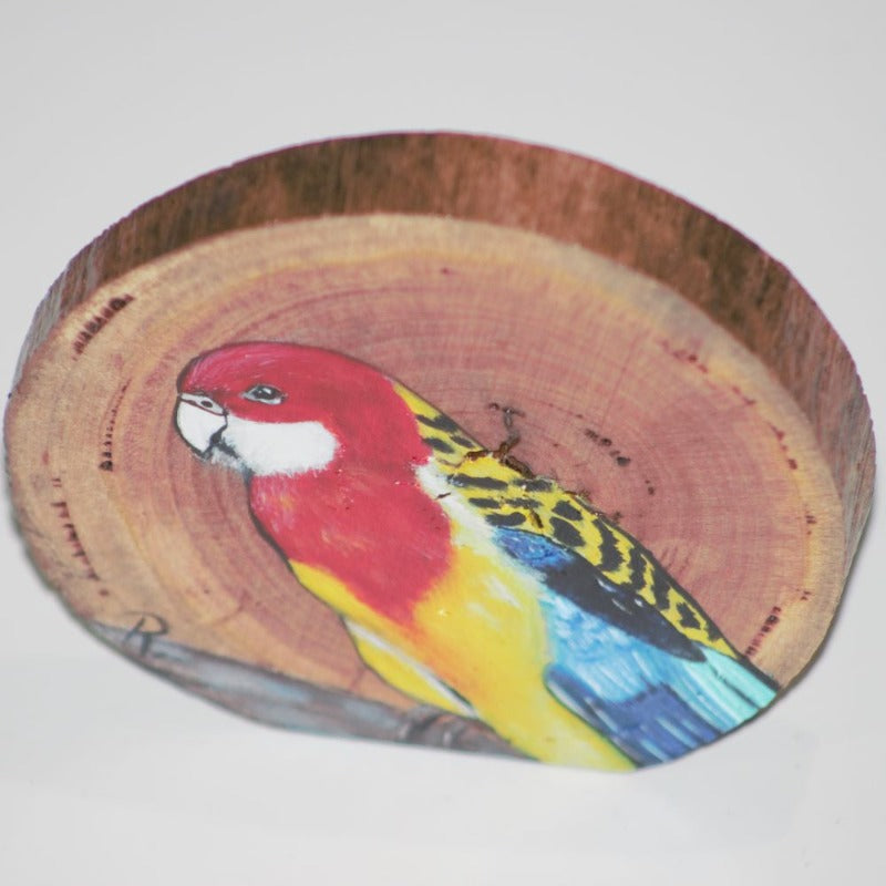 Australian Eastern Rosella painted on a round of wood Wood