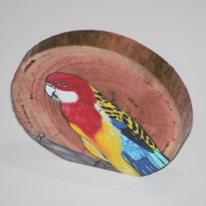 Australian Eastern Rosella painted on a round of wood Wood