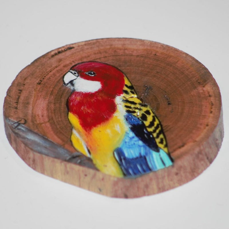 Australian Eastern Rosella painted on a round of wood Wood