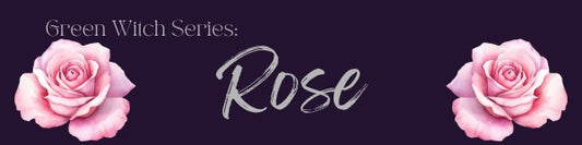 The Magickal Properties Of Rose