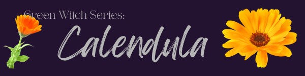 Mundane & Magickal Properties of Calendula