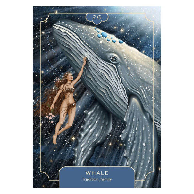 Card from the animal spirit oracle deck