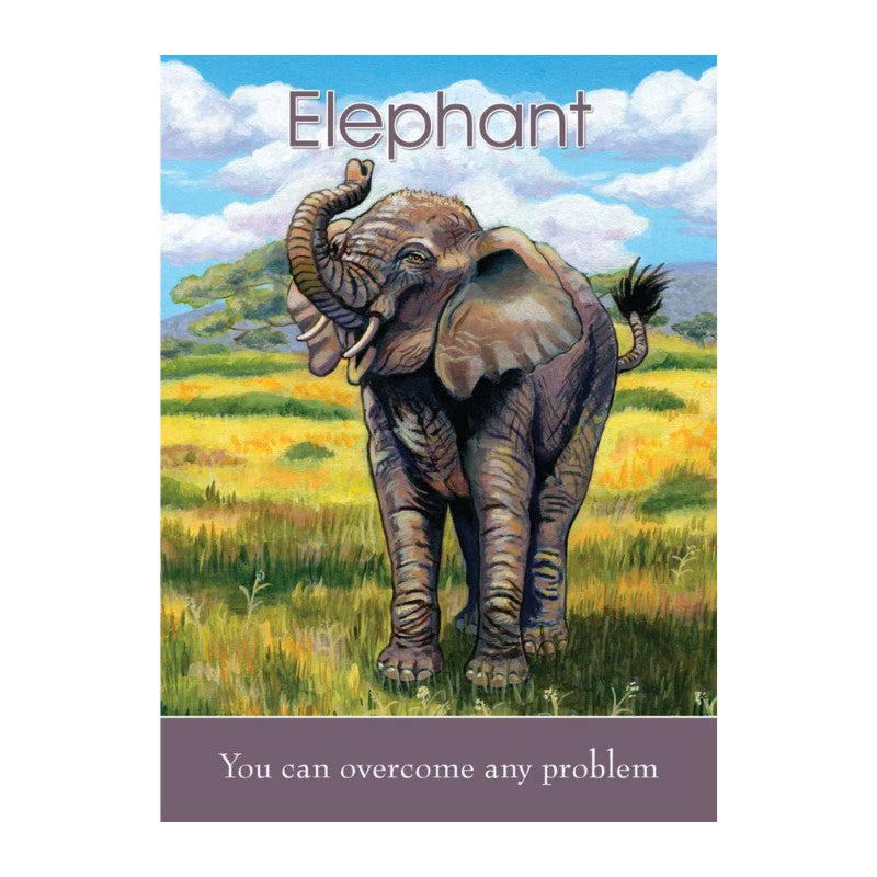 Children's Spirit Animal Cards