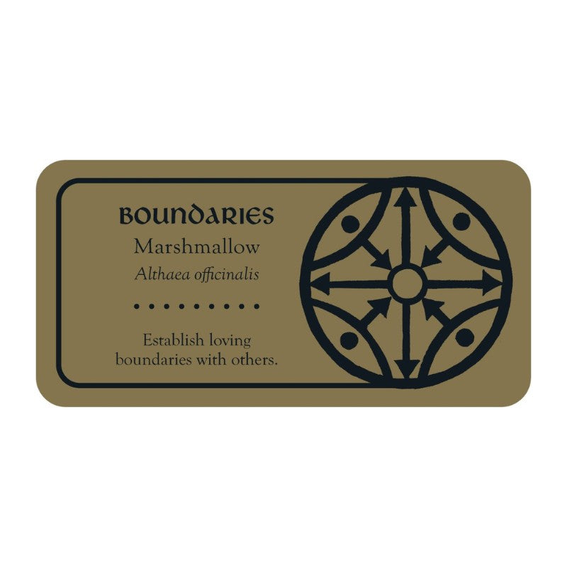 Rectangular label with text and a circular design on a beige background