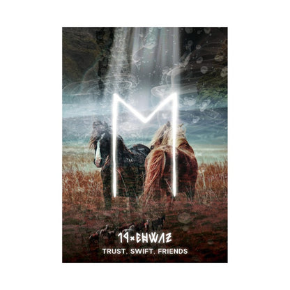 Two horses standing in a field with a white 'M' overlay and text below on a white background.