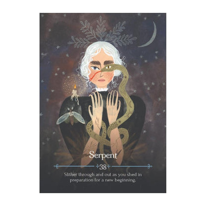  card from Seasons of the Witch Imbolc Oracle Cards