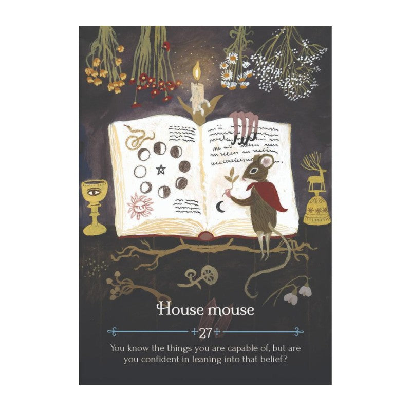  card from Seasons of the Witch Imbolc Oracle Cards