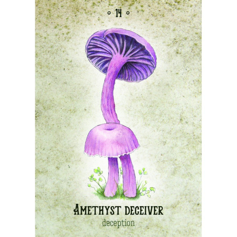 Mushroom Spirit Oracle Cards