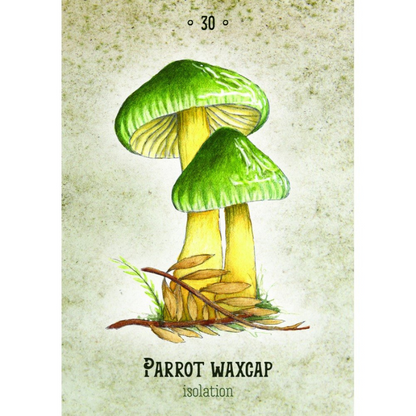 Mushroom Spirit Oracle Cards