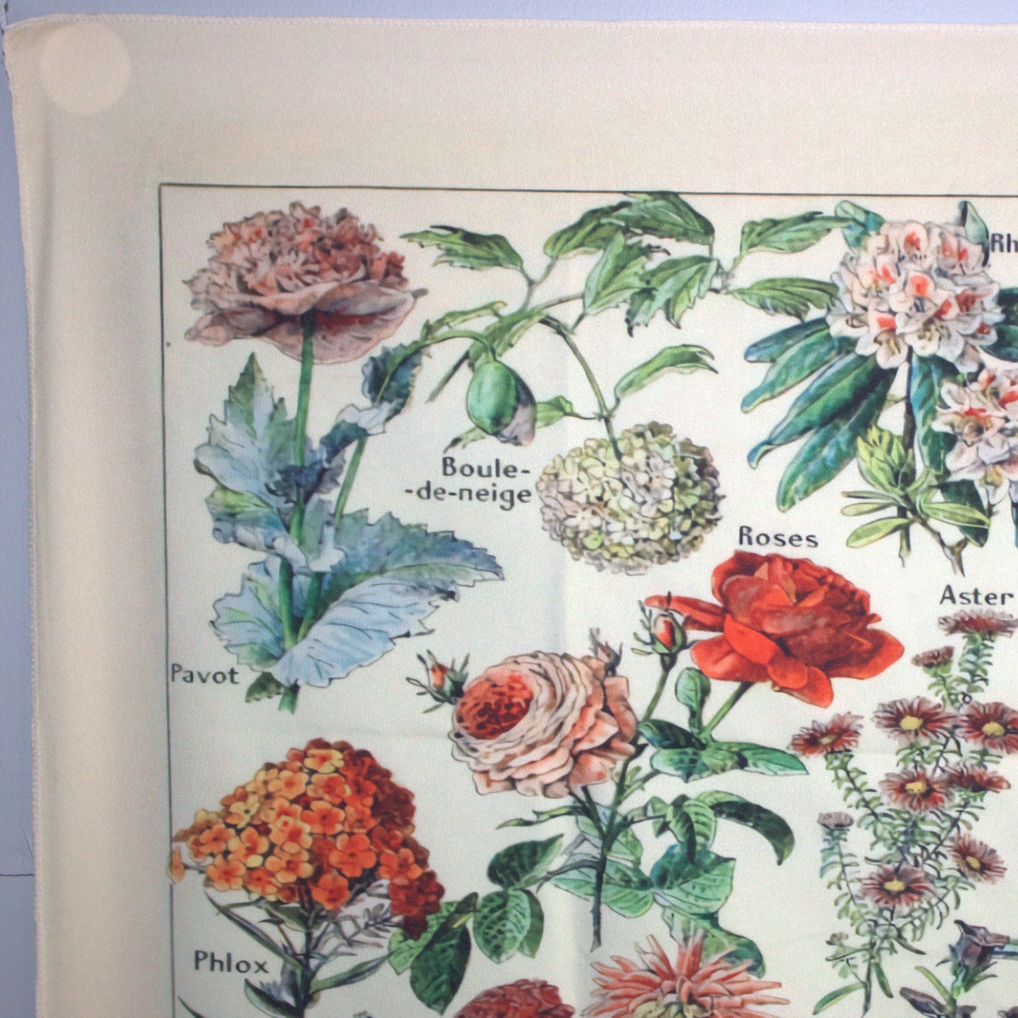Cottagecore Botanical Print Wall Hanging / Floral Illustration Identification Chart